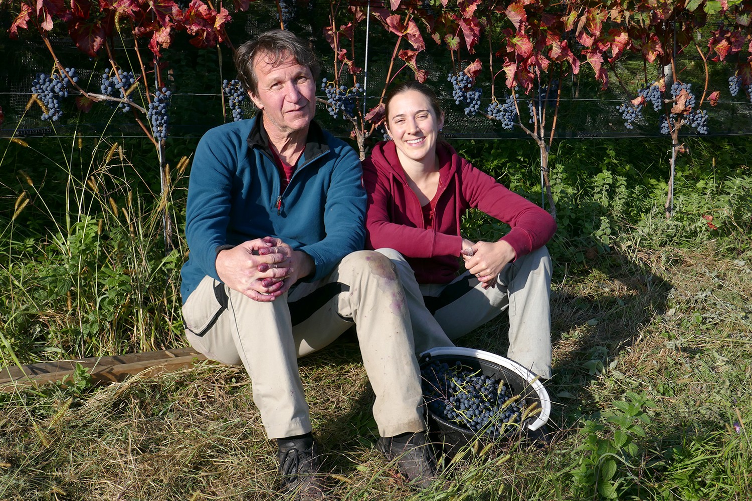 Bio-Weinbau Knechtle Glogger.JPG